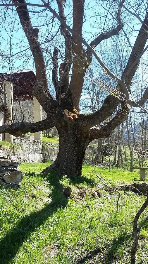 Апартаменты La Casa Del Gigante Frassino Аччельо Экстерьер фото